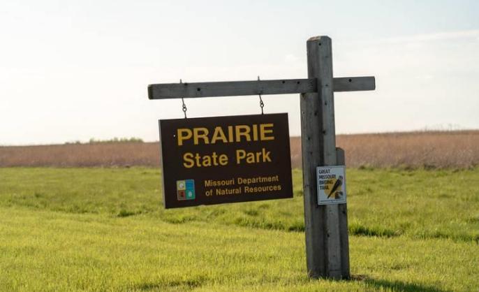 Prairie State Park Lamar MO, 2020