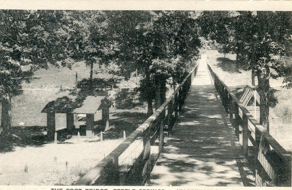 The Footbridge at Pertle Springs with the springs to the left