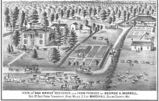 1876 Aerial View of the George A. Murrell Estate